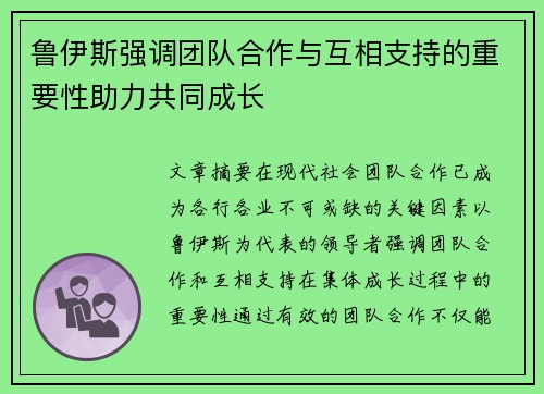 鲁伊斯强调团队合作与互相支持的重要性助力共同成长