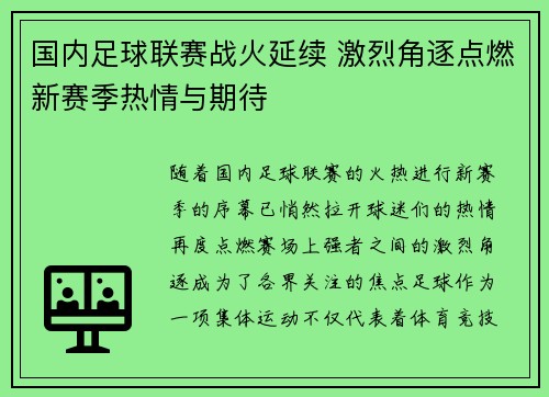 国内足球联赛战火延续 激烈角逐点燃新赛季热情与期待
